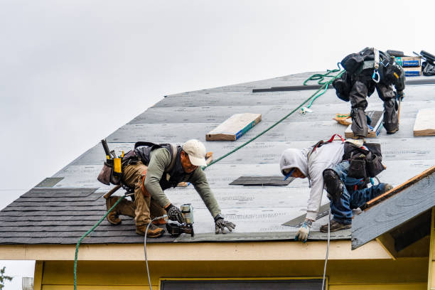 Professional Roofing technician working in Leland, IL